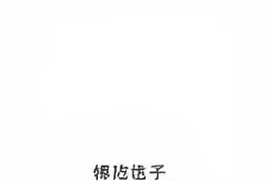 《半熟现场》写字楼工位实景拍摄