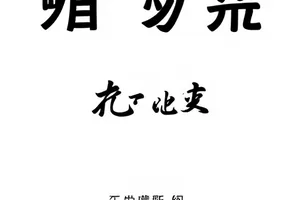 《雾里灯市》民国街市灯影画面